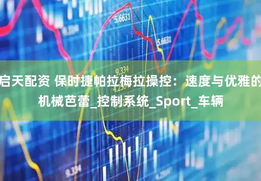启天配资 保时捷帕拉梅拉操控：速度与优雅的机械芭蕾_控制系统_Sport_车辆