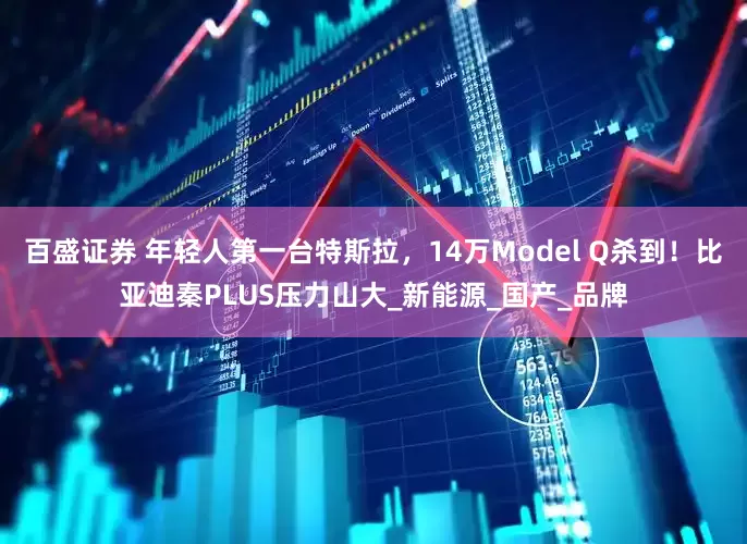 百盛证券 年轻人第一台特斯拉，14万Model Q杀到！比亚迪秦PLUS压力山大_新能源_国产_品牌