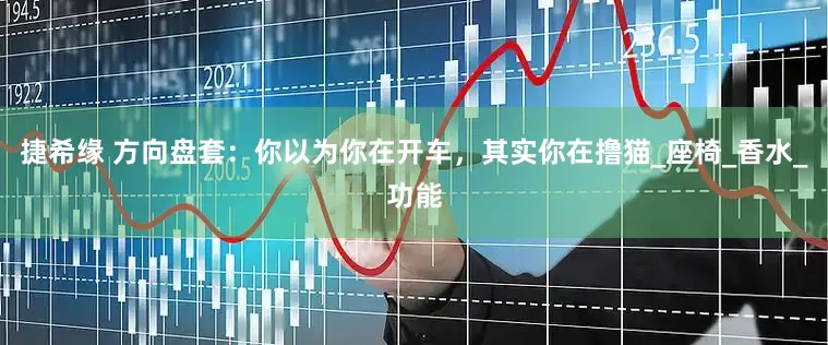 捷希缘 方向盘套：你以为你在开车，其实你在撸猫_座椅_香水_功能