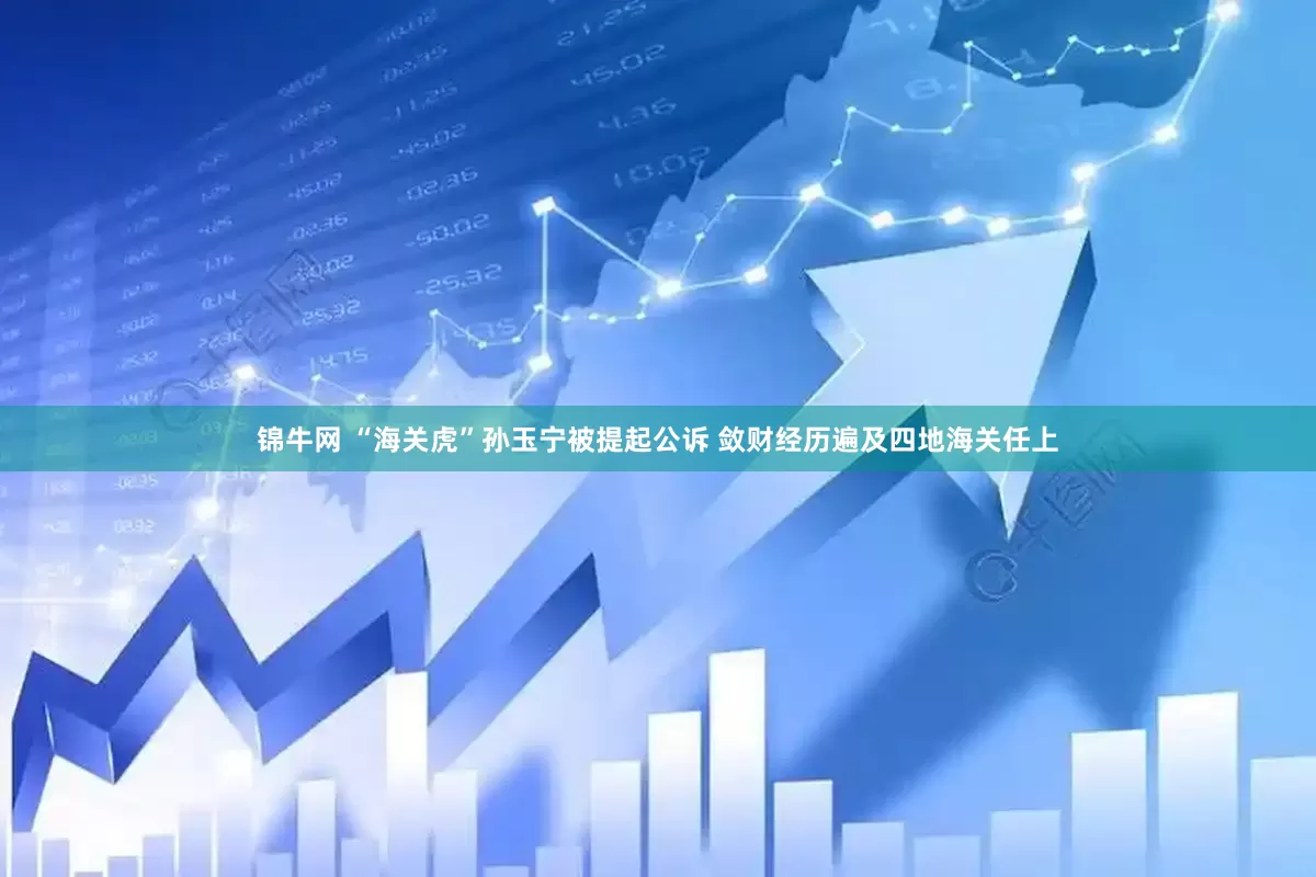 锦牛网 “海关虎”孙玉宁被提起公诉 敛财经历遍及四地海关任上